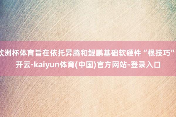 欧洲杯体育旨在依托昇腾和鲲鹏基础软硬件“根技巧”-开云·kaiyun体育(中国)官方网站-登录入口